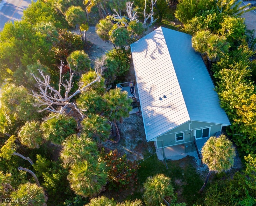 AerialView