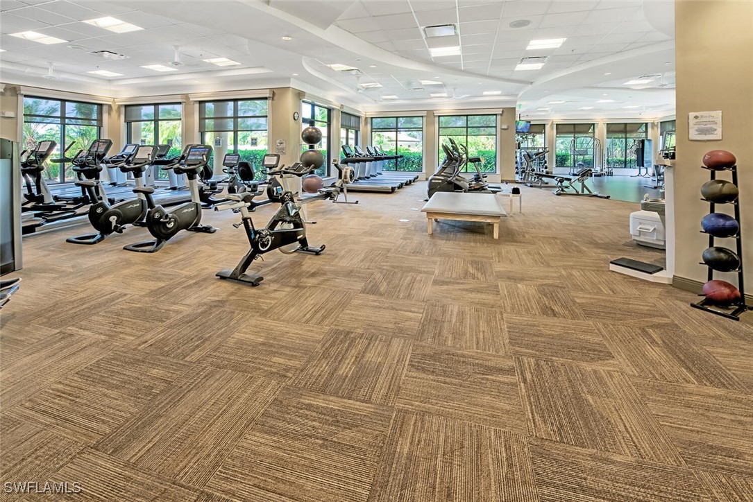 Gym