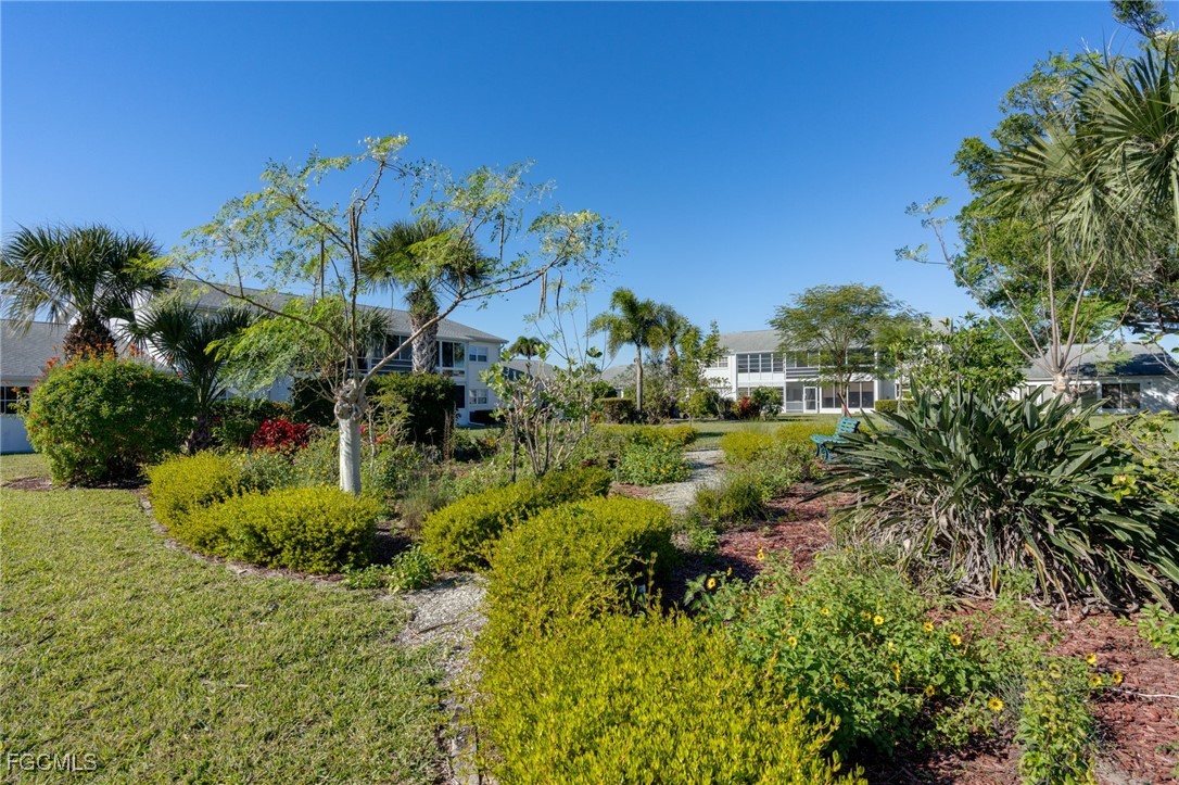 Yard
