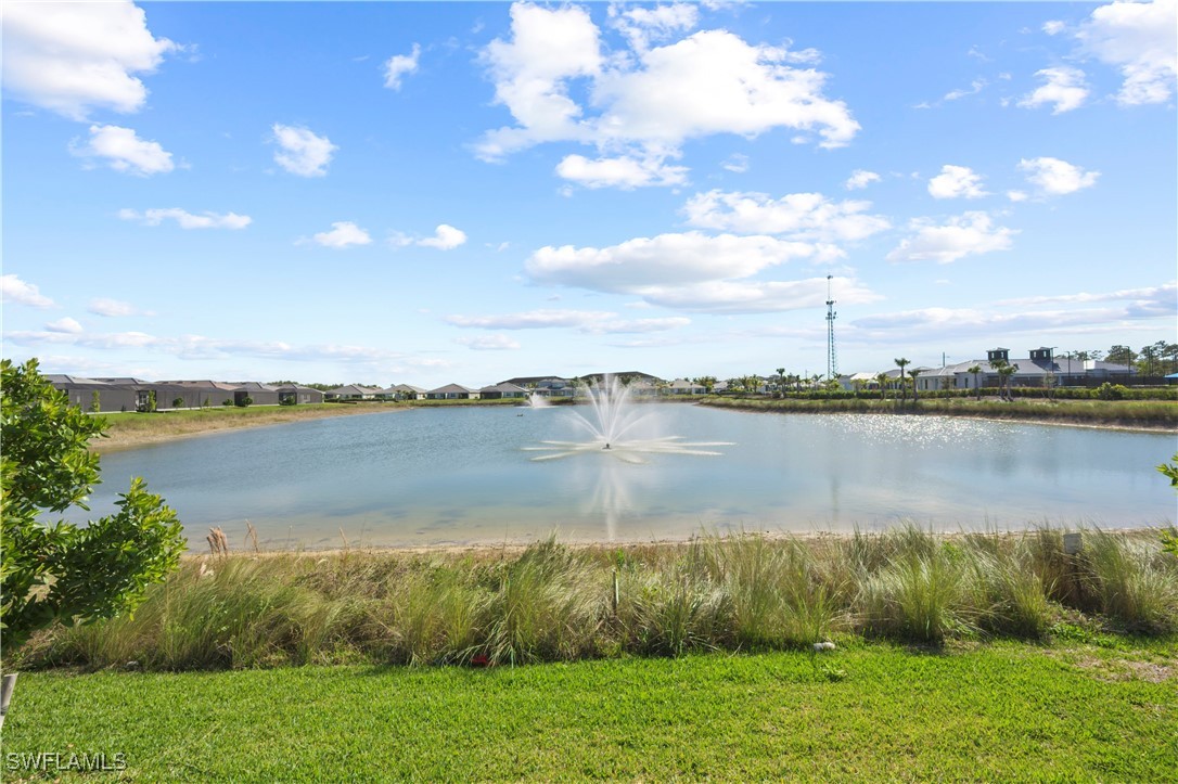 Pond