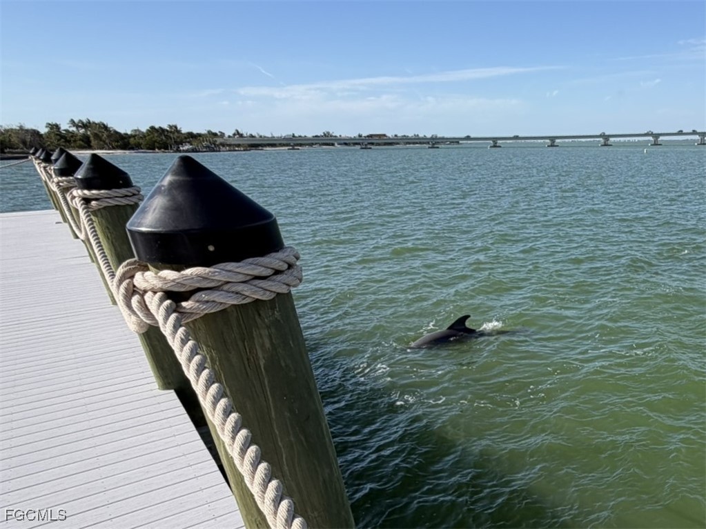 Dock
