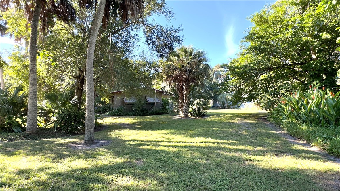Yard