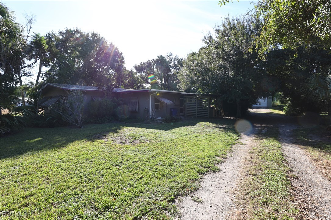 Yard