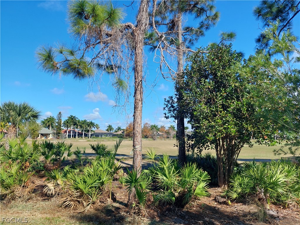 Yard