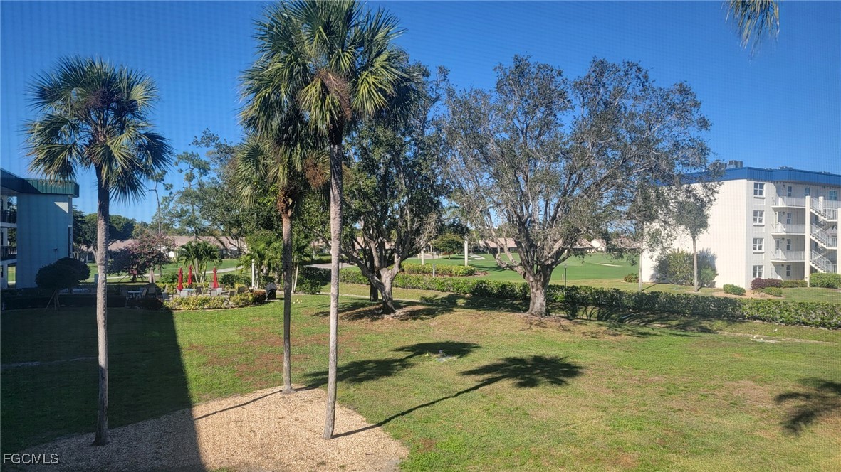Yard