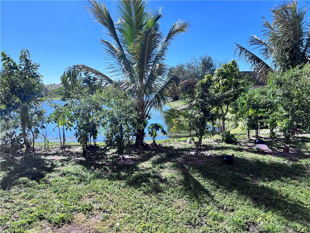 Yard