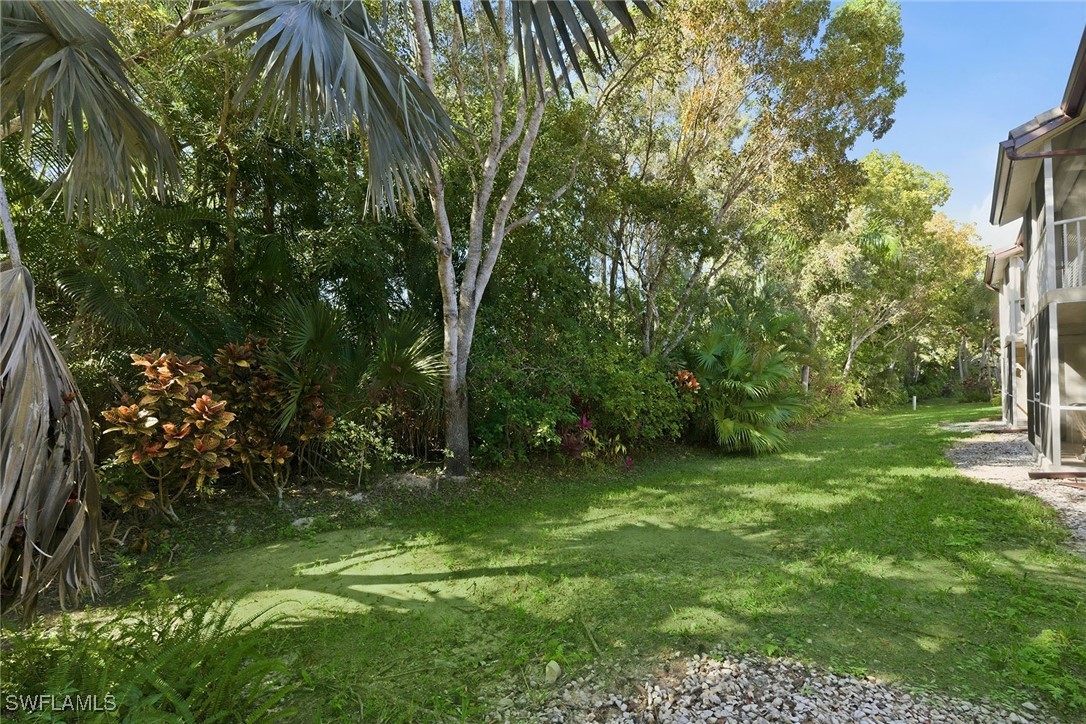 Yard