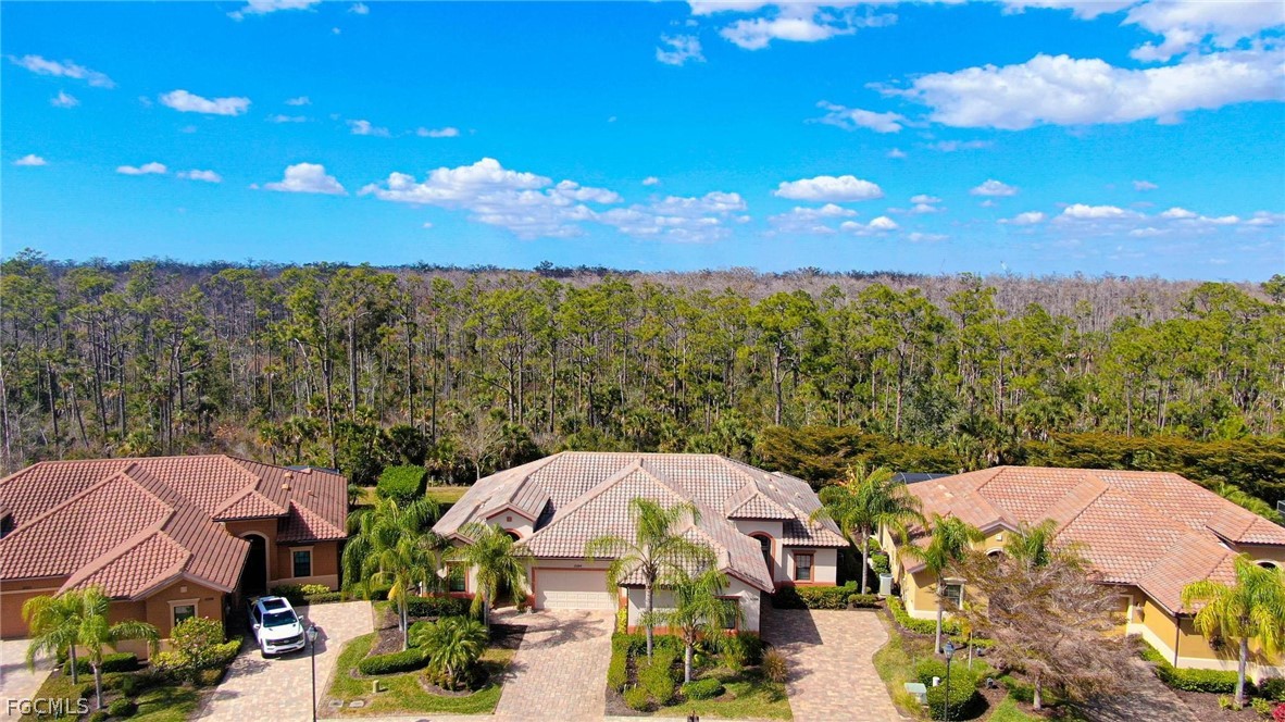 AerialView