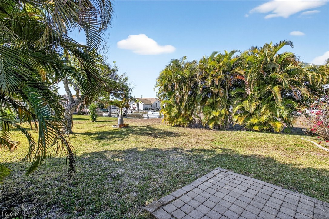 Yard
