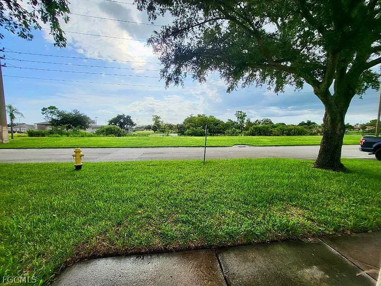 Yard
