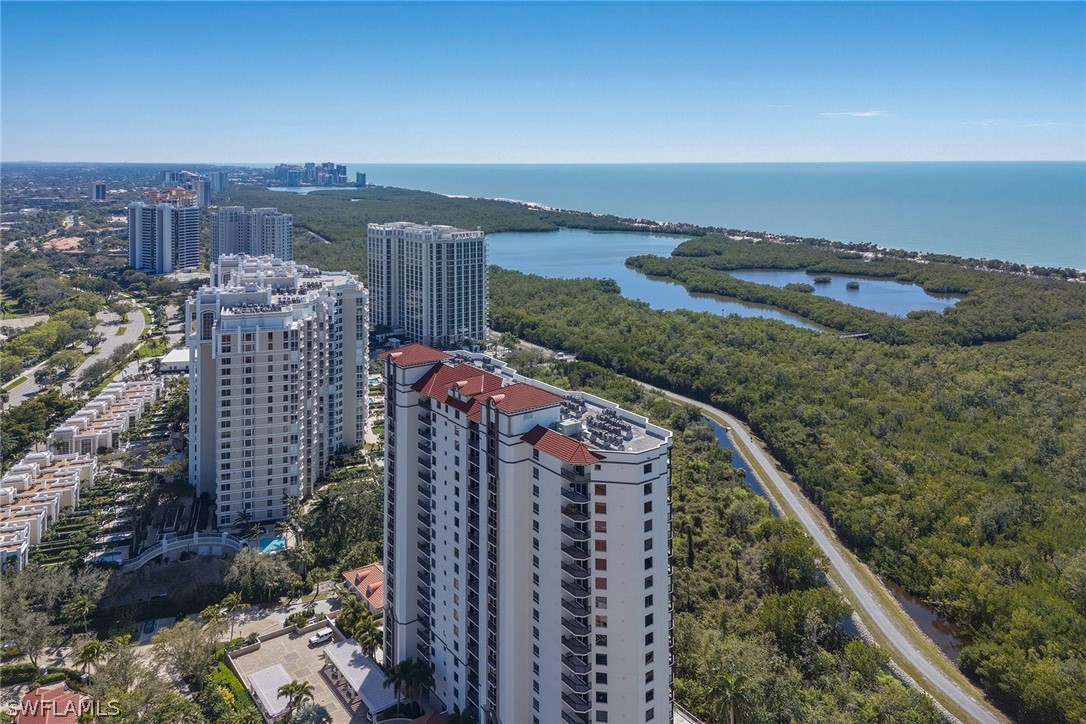 AerialView