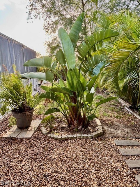 Yard