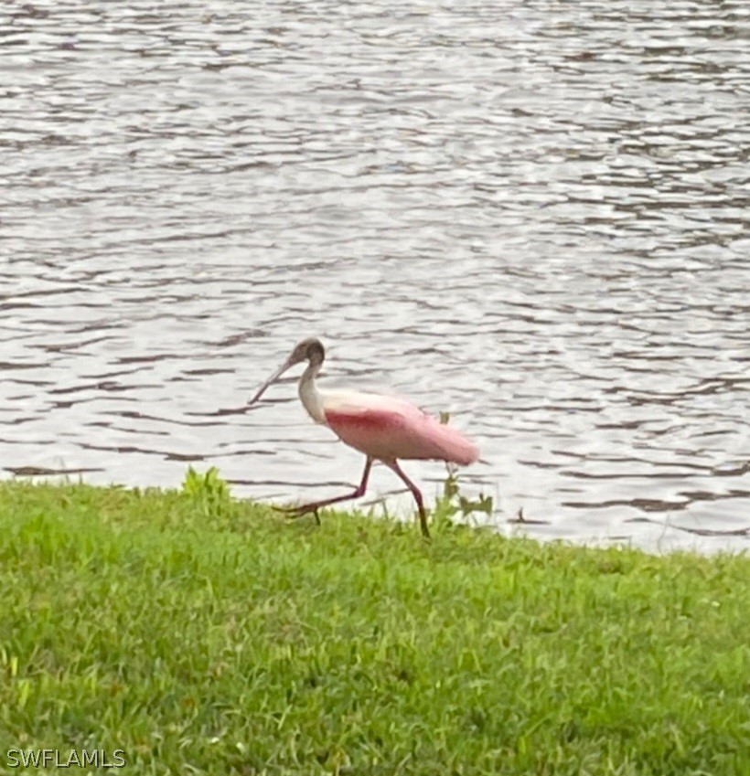 9241 Spring Run Unit 2206, Estero, FL 34135