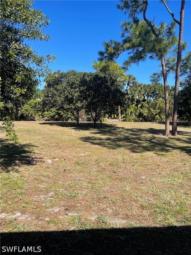 Yard