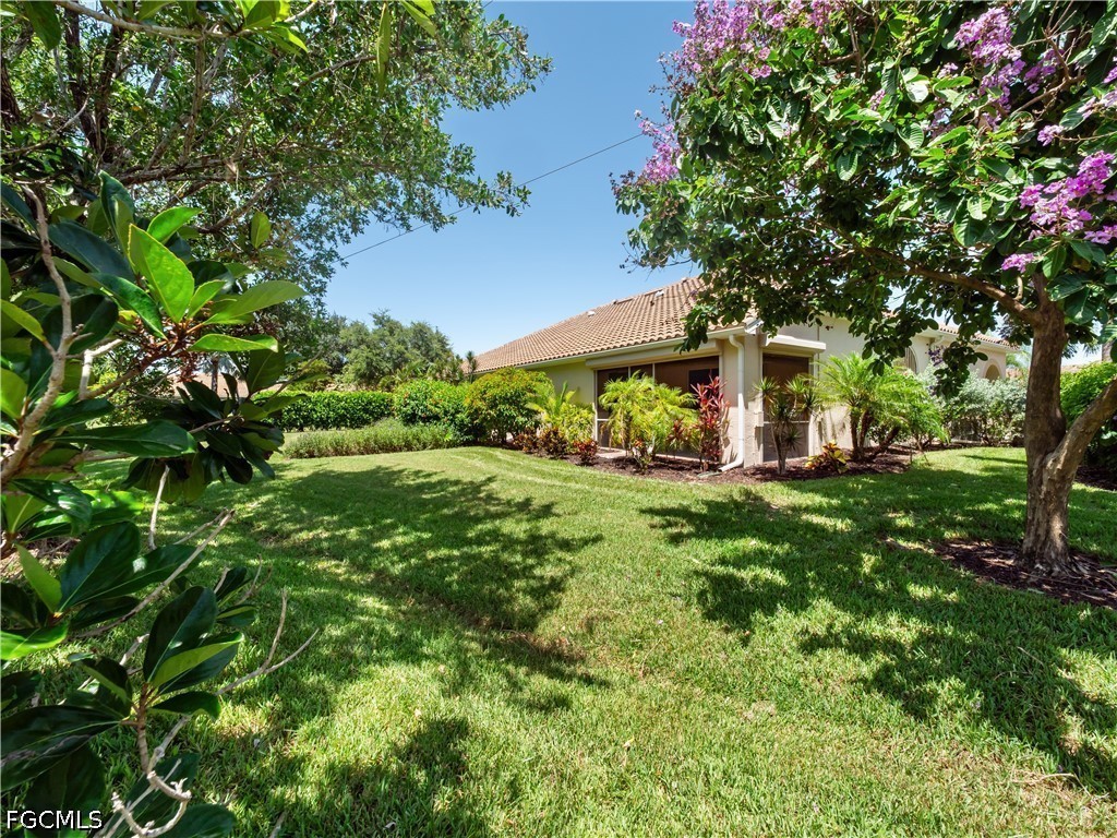 Yard