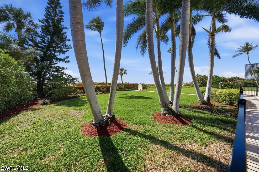Yard