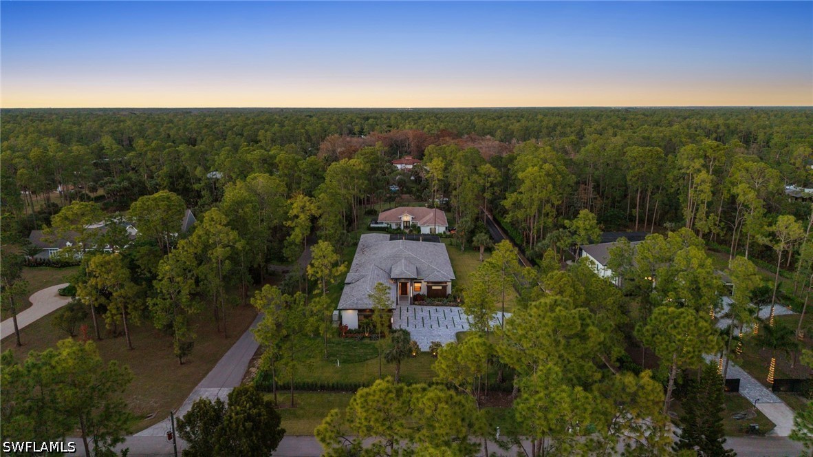 AerialView