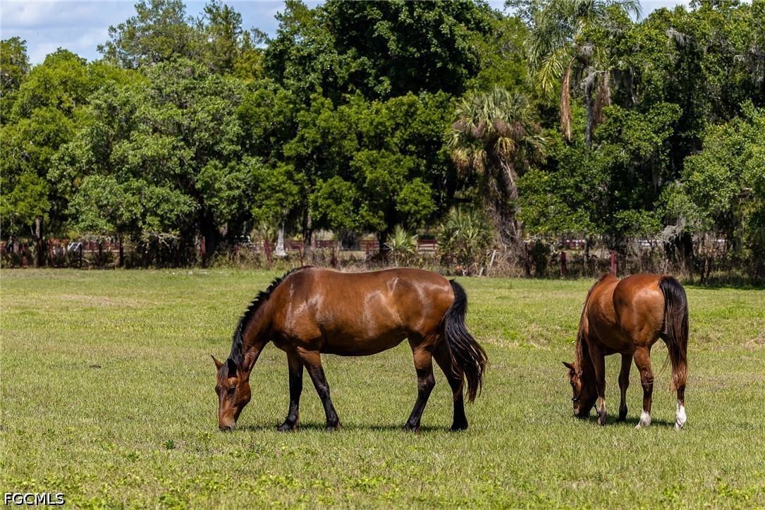 16100 River, Alva, FL 33920