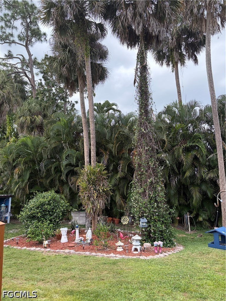 Yard
