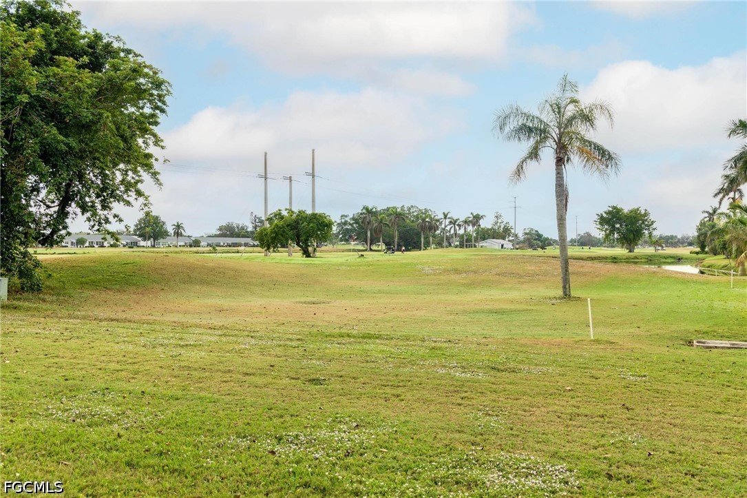 Yard