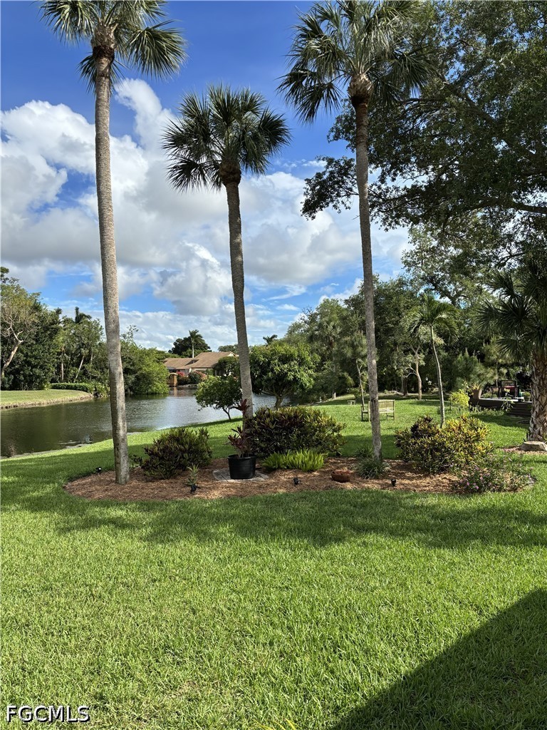 Yard