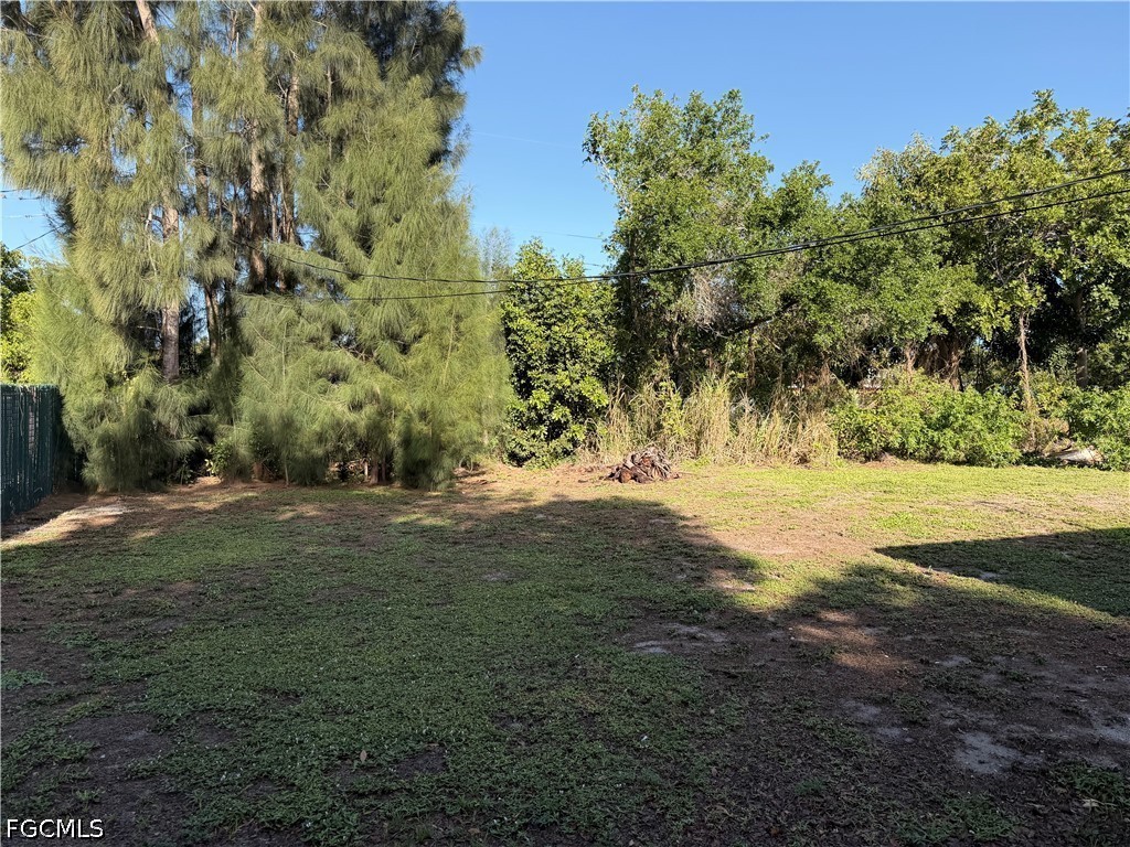 Yard