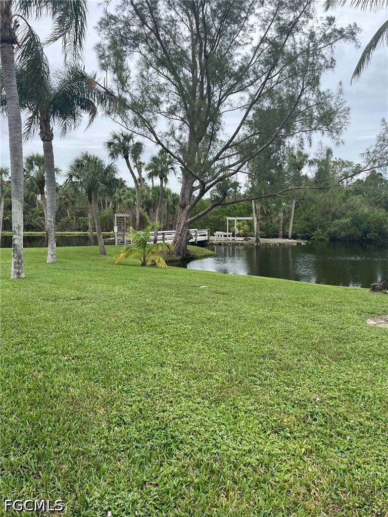 Yard