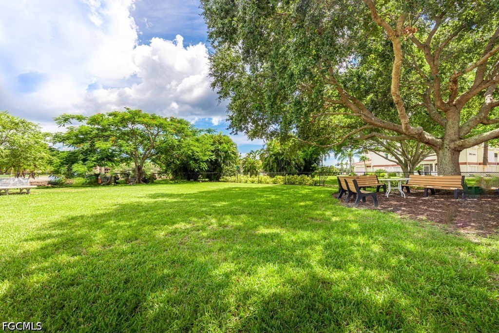 Yard