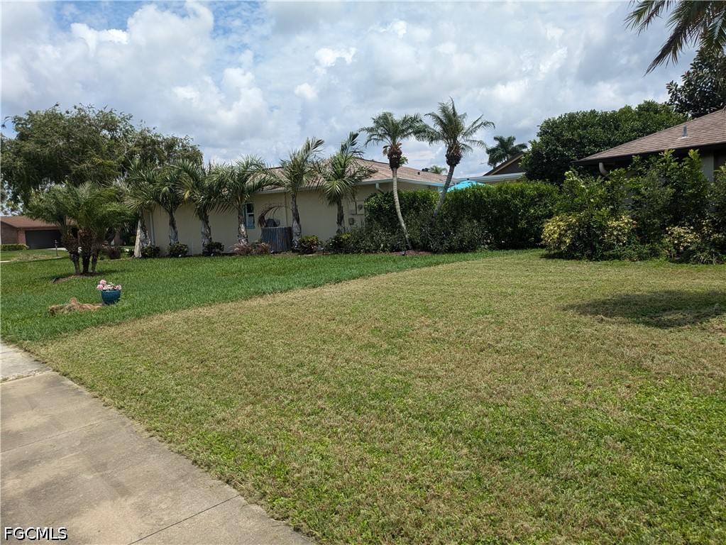 Yard