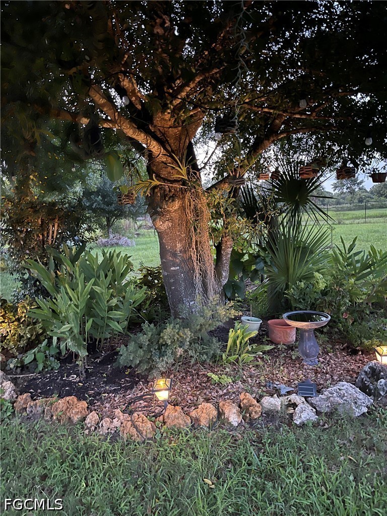 Yard