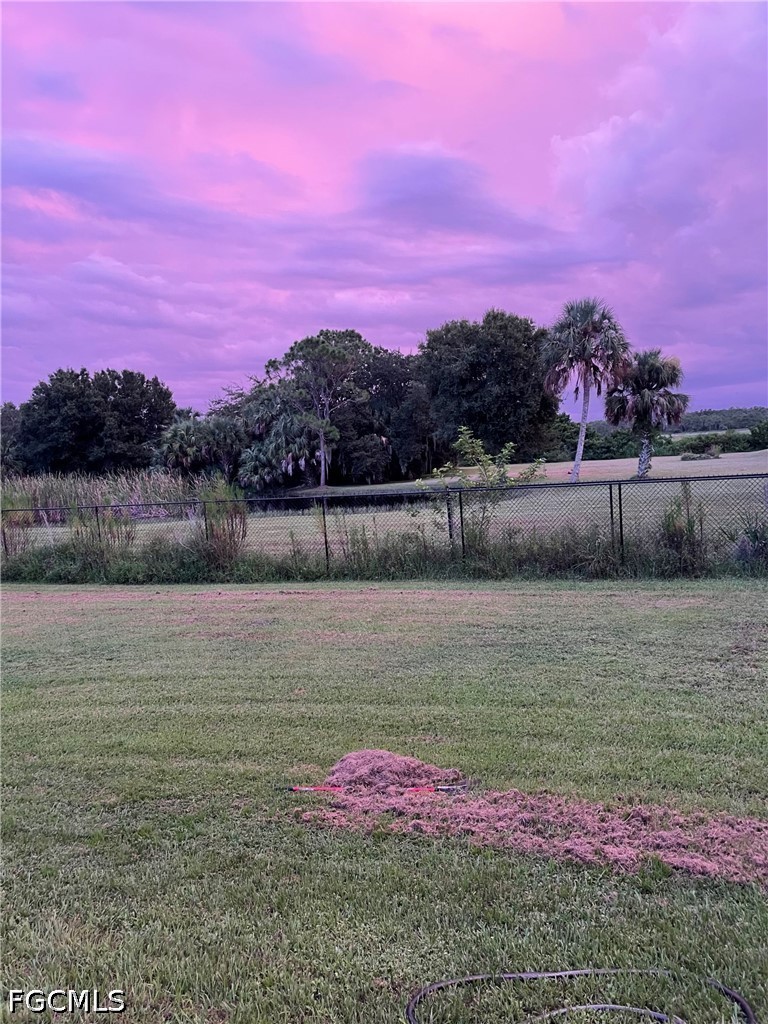 Yard