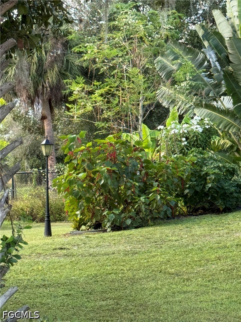 Yard