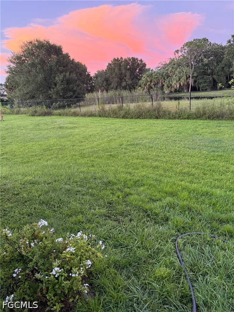 Yard