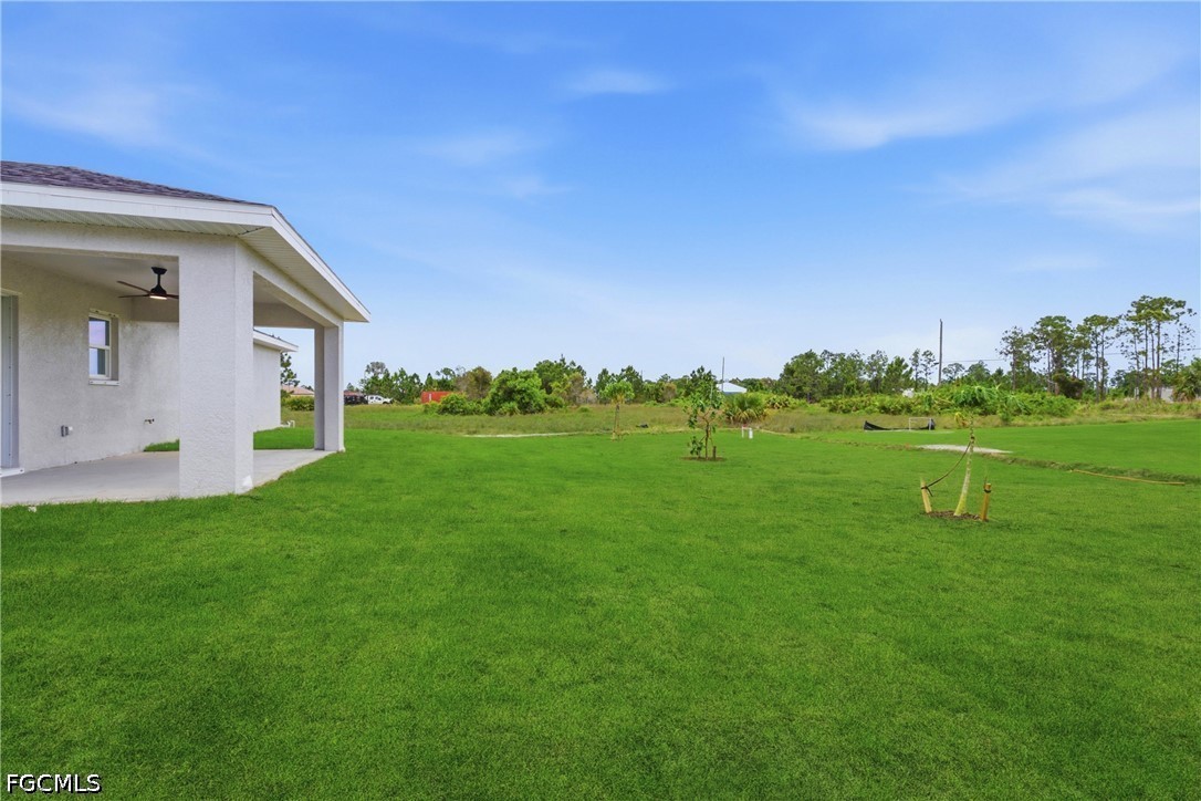Yard