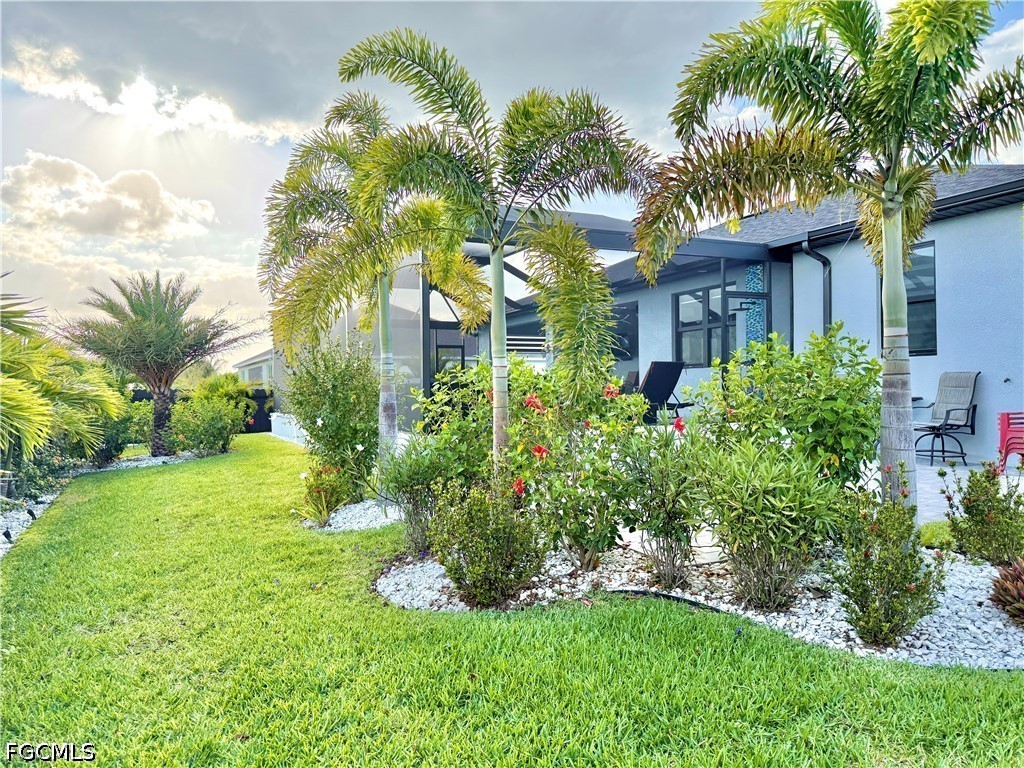 Yard