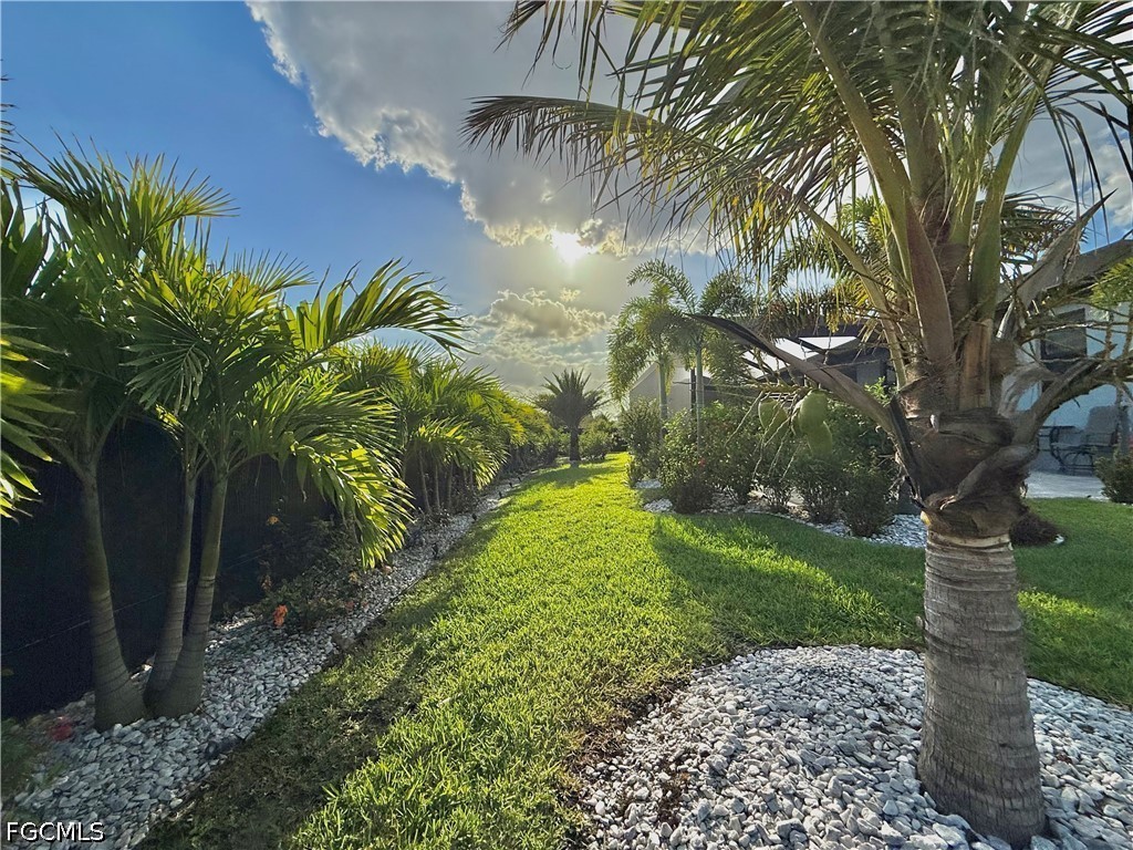 Yard