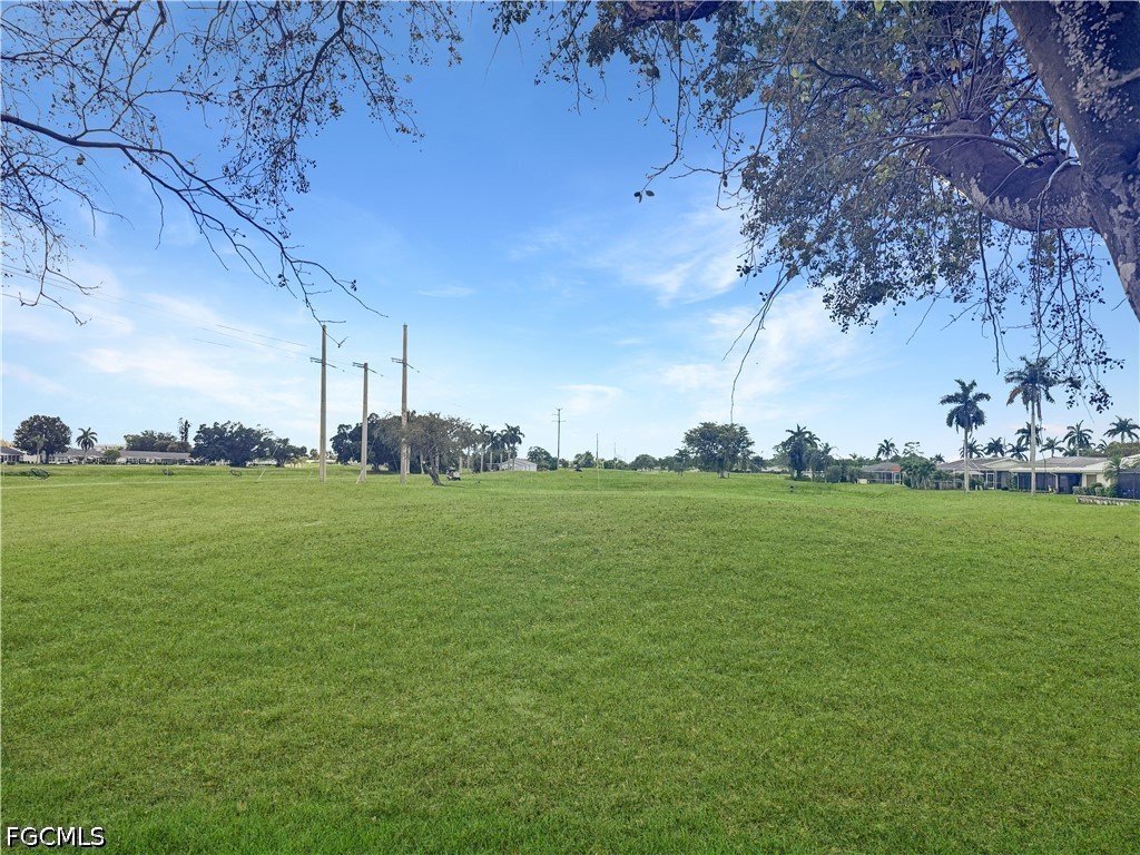 Yard