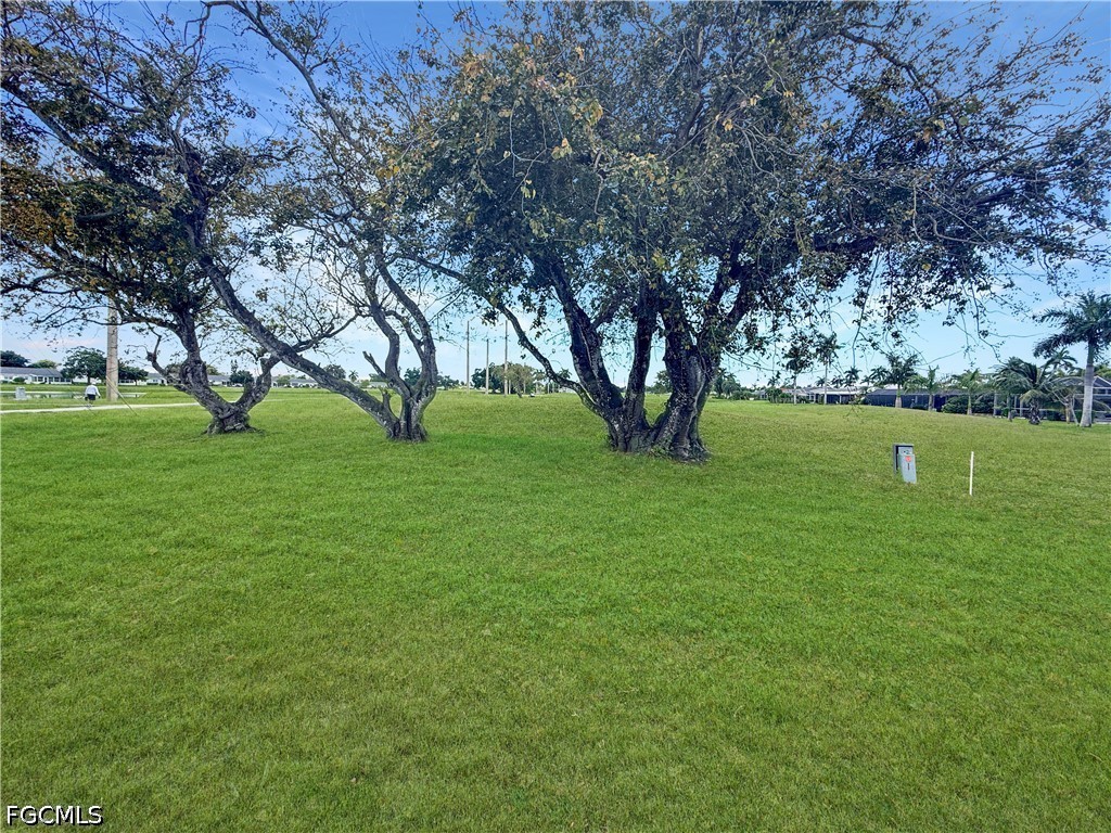 Yard