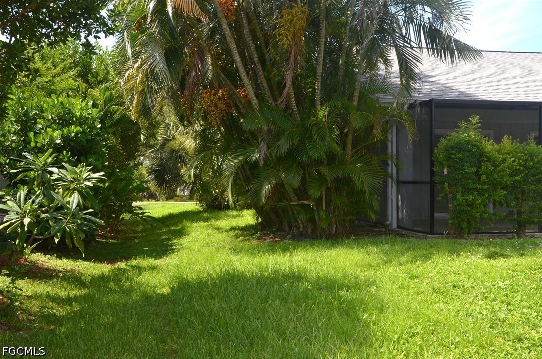 Yard