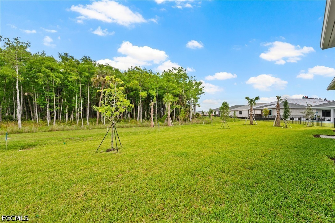 Yard