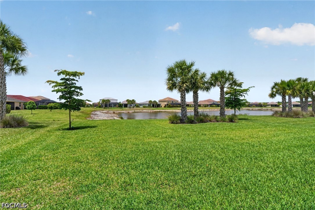 Yard