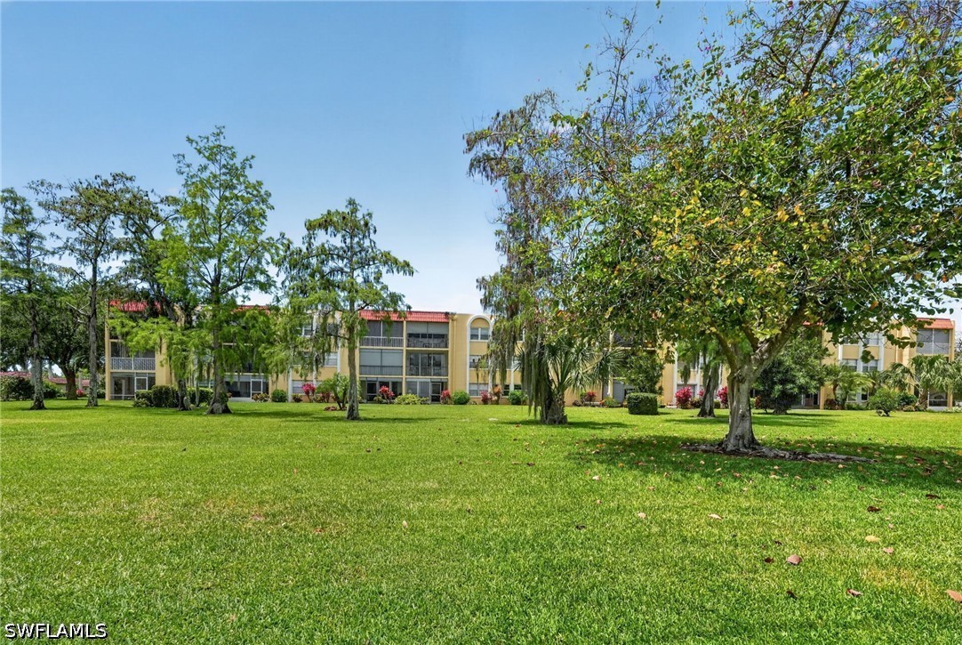 Yard