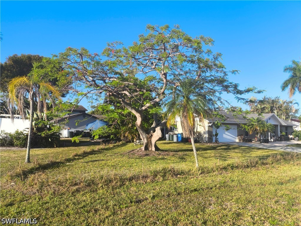 Yard