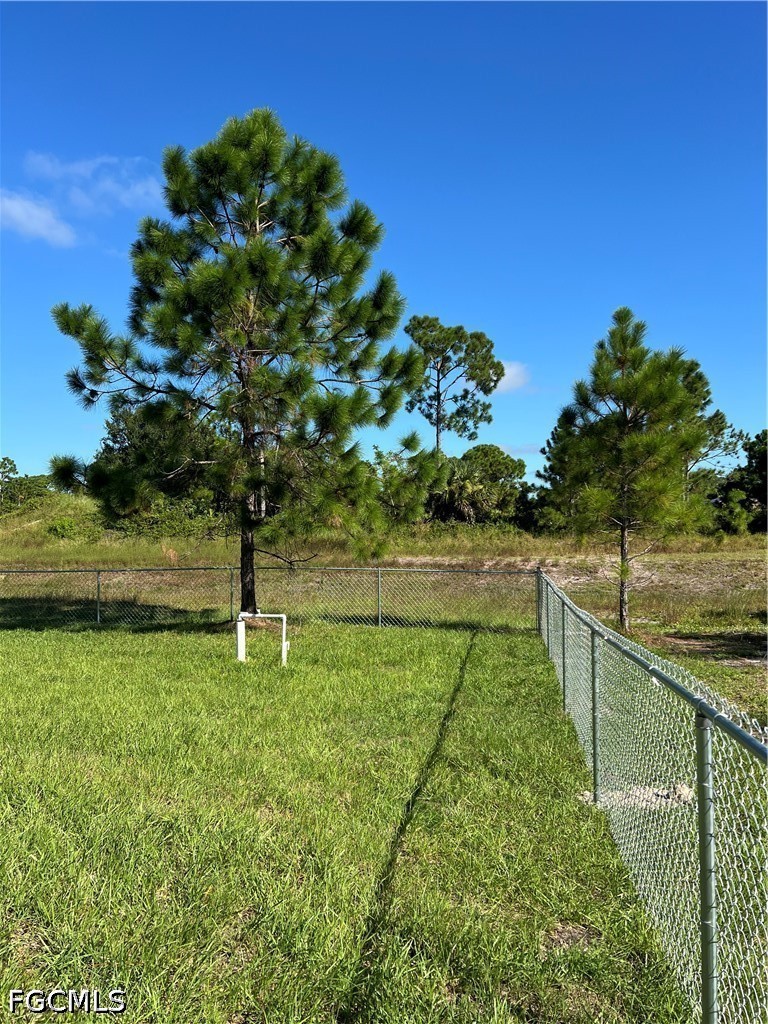 Yard