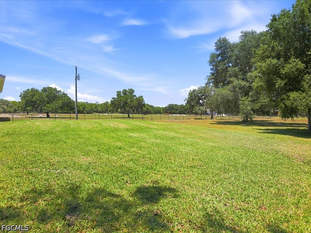 Yard
