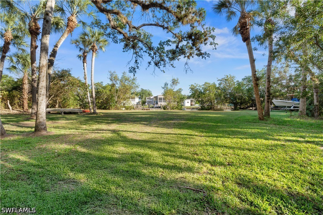 Yard