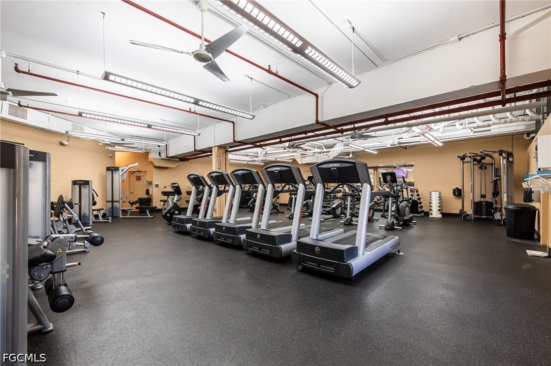 Gym