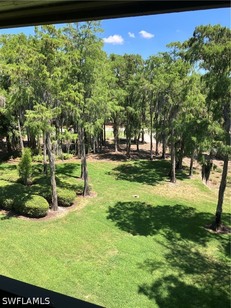Yard