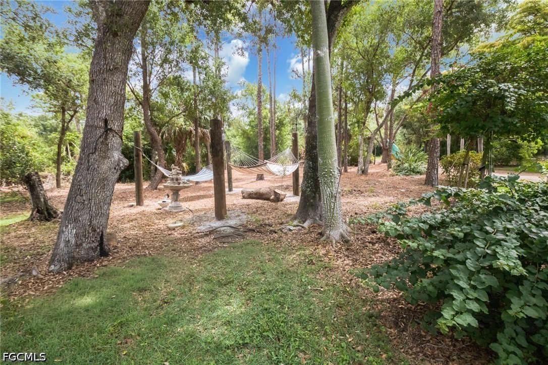 Yard