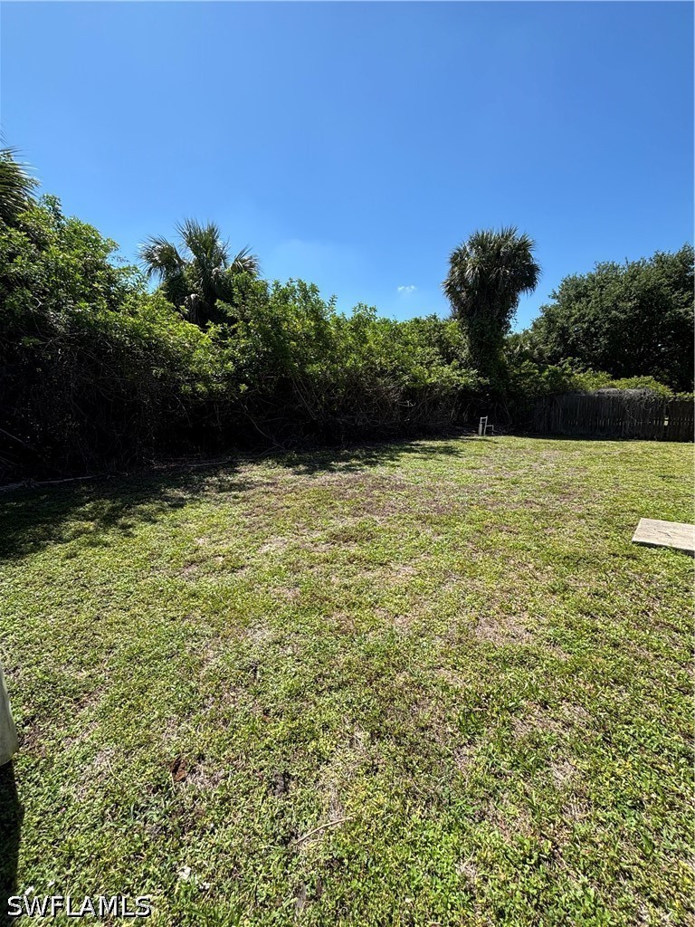 Yard